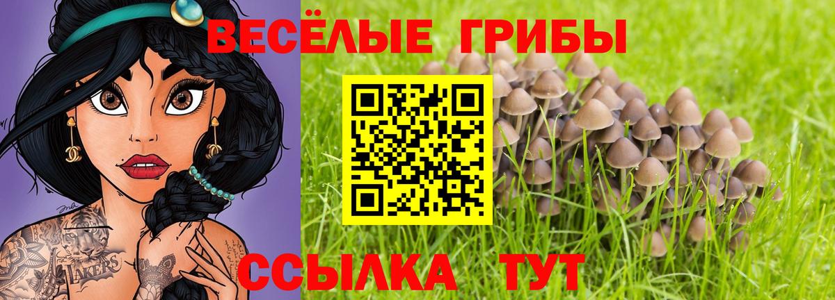 Псилоцибиновые грибы мухоморы Хасавюрт
