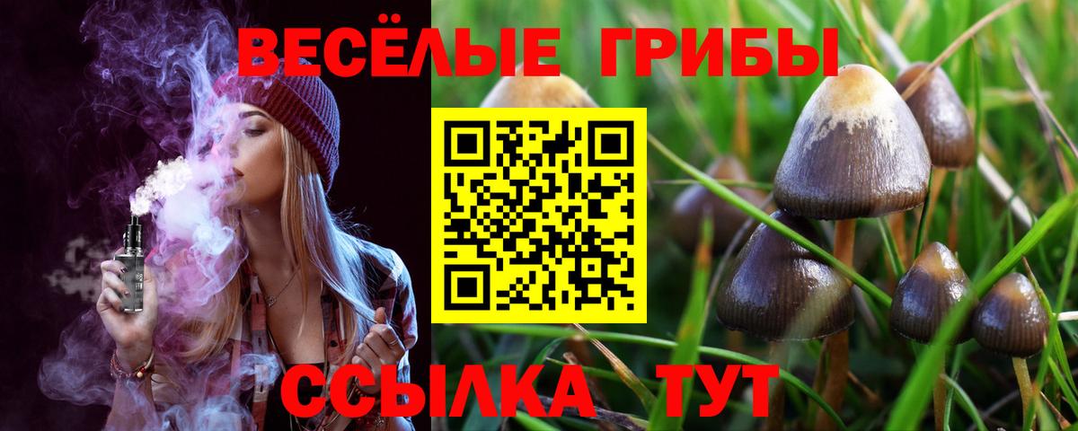 Галлюциногенные грибы ЛСД  Вход с VPN  Хасавюрт 
