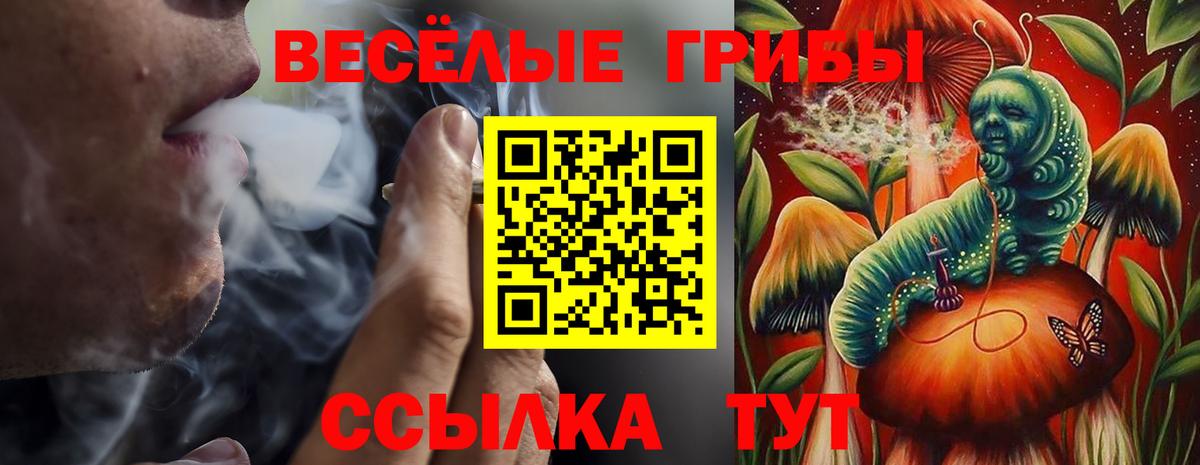 ГАШИШ Хасавюрт